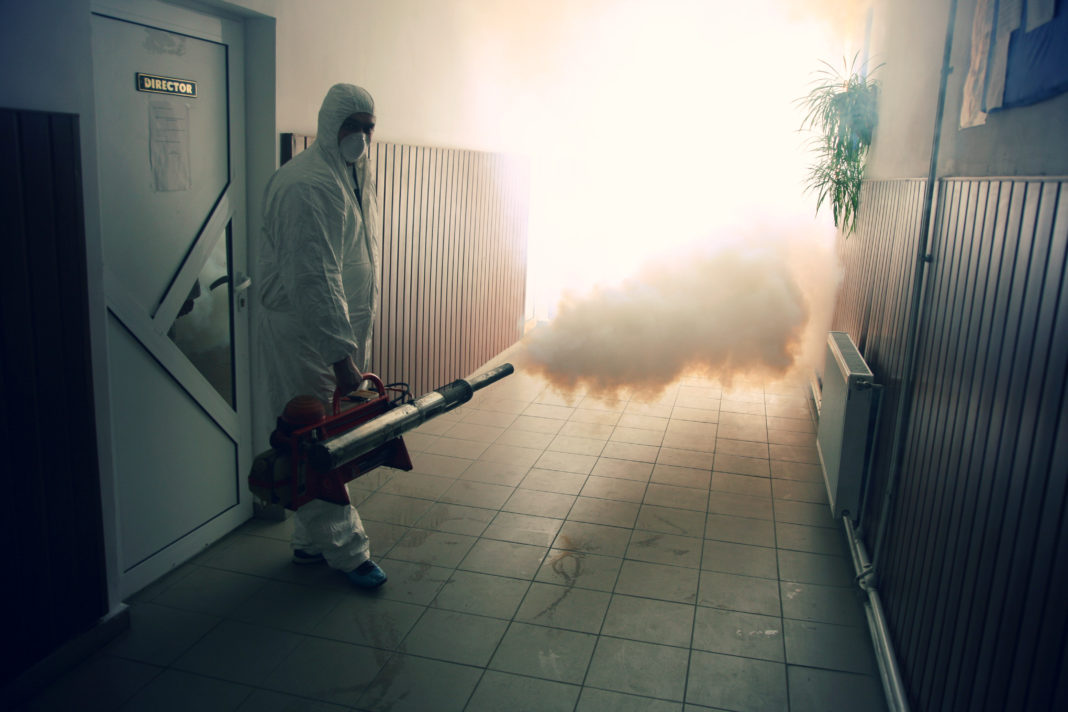 Școlile din Ploiești și-ar putea deschide porțile în noul an școlar fără să aibă făcute dezinsecția și deratizarea