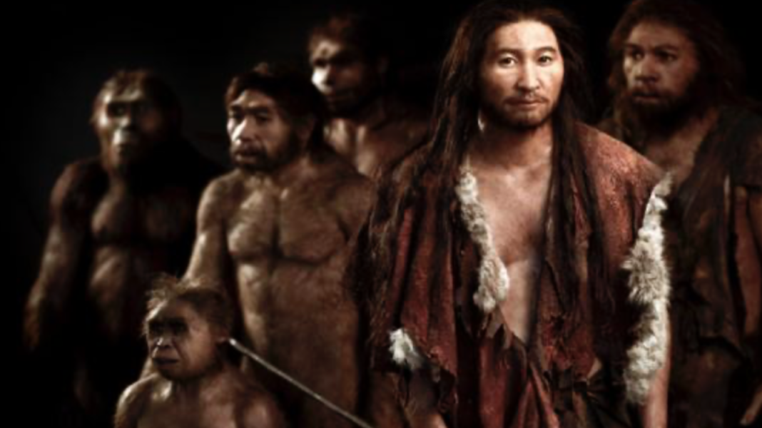 Cercetătorii au descoperit încă un strămoș al onului: o specie “super-arhaică“