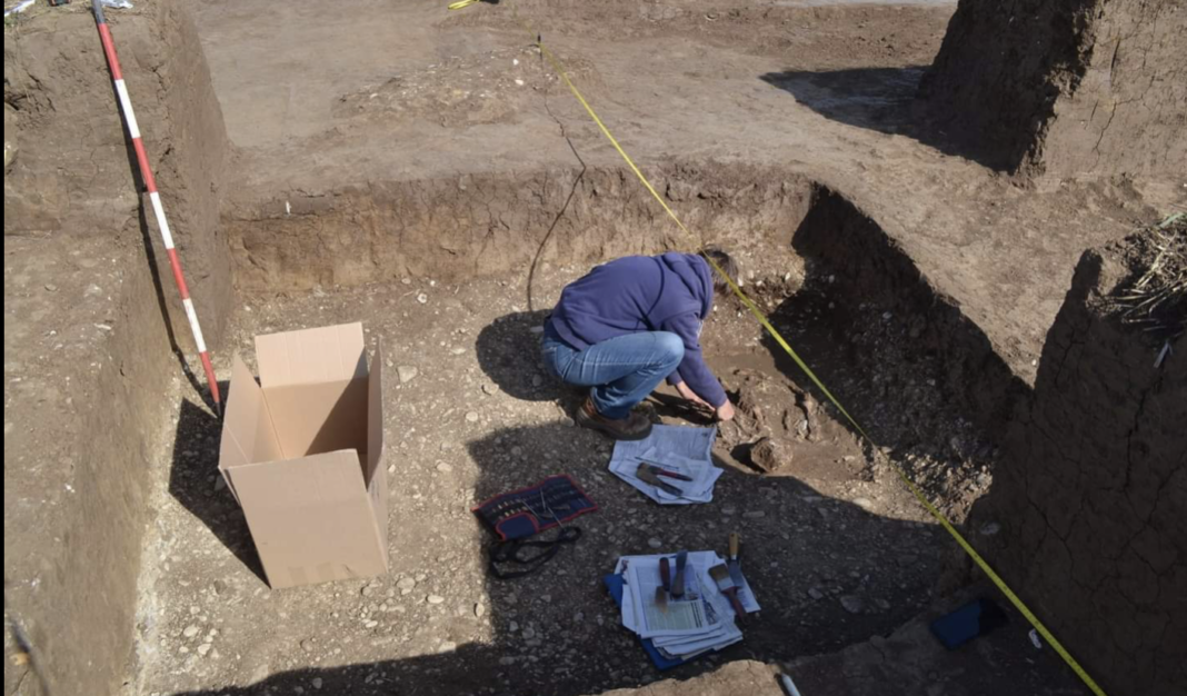 Muzeul... - Muzeul Judetean de Istorie si Arheologie Prahova