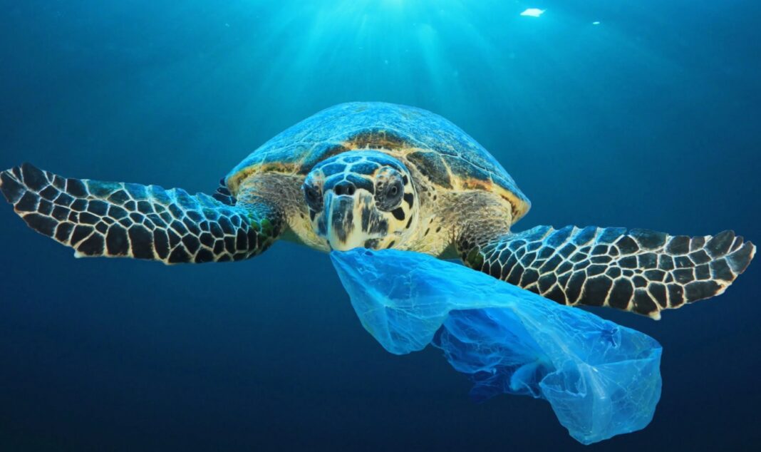 Plastic Busters CAP: proiect pentru Mediterana