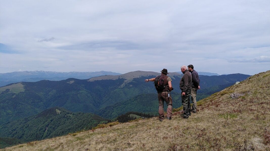 Junior Ranger – programul unde copiii pot învăța cum este să fii ranger