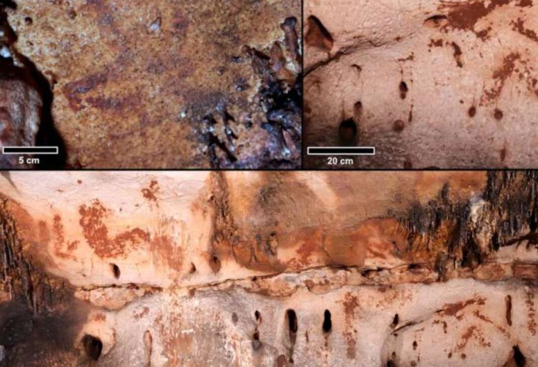 Spania: reprezentări ale unor cai, cerbi şi bouri vechi de peste 24.000 de ani