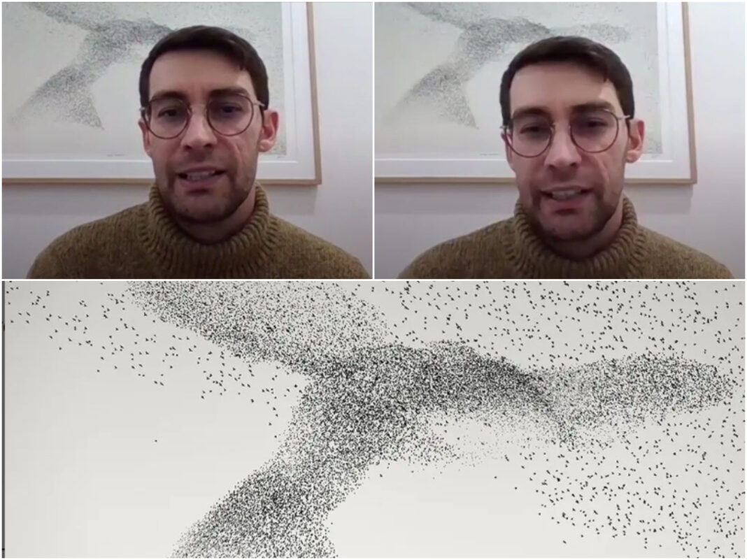 100.000 de grauri în zbor, fotografie virală realizată de românul Daniel Dencescu: „