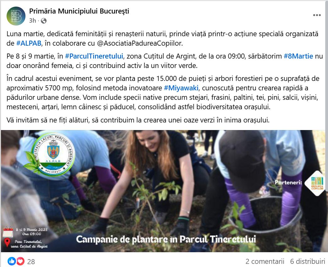 Peste 15.000 de arbori vor fi plantați în Parcul Tineretului prin metoda Miyawaki