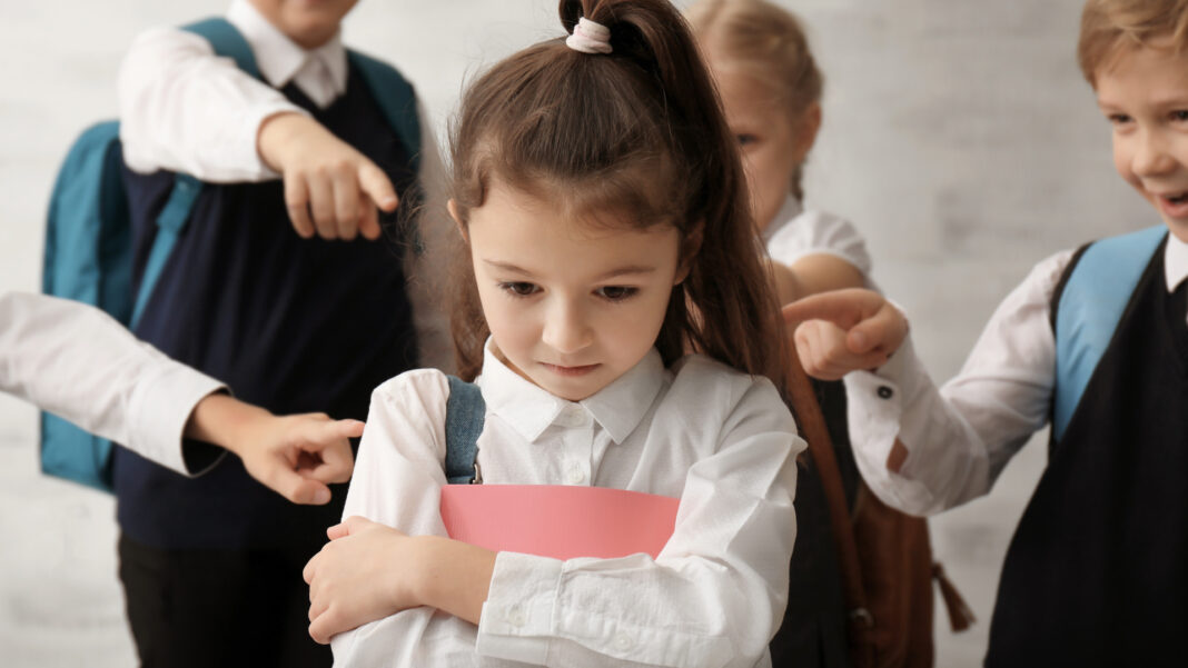 Novakid - Studiu despre educatie