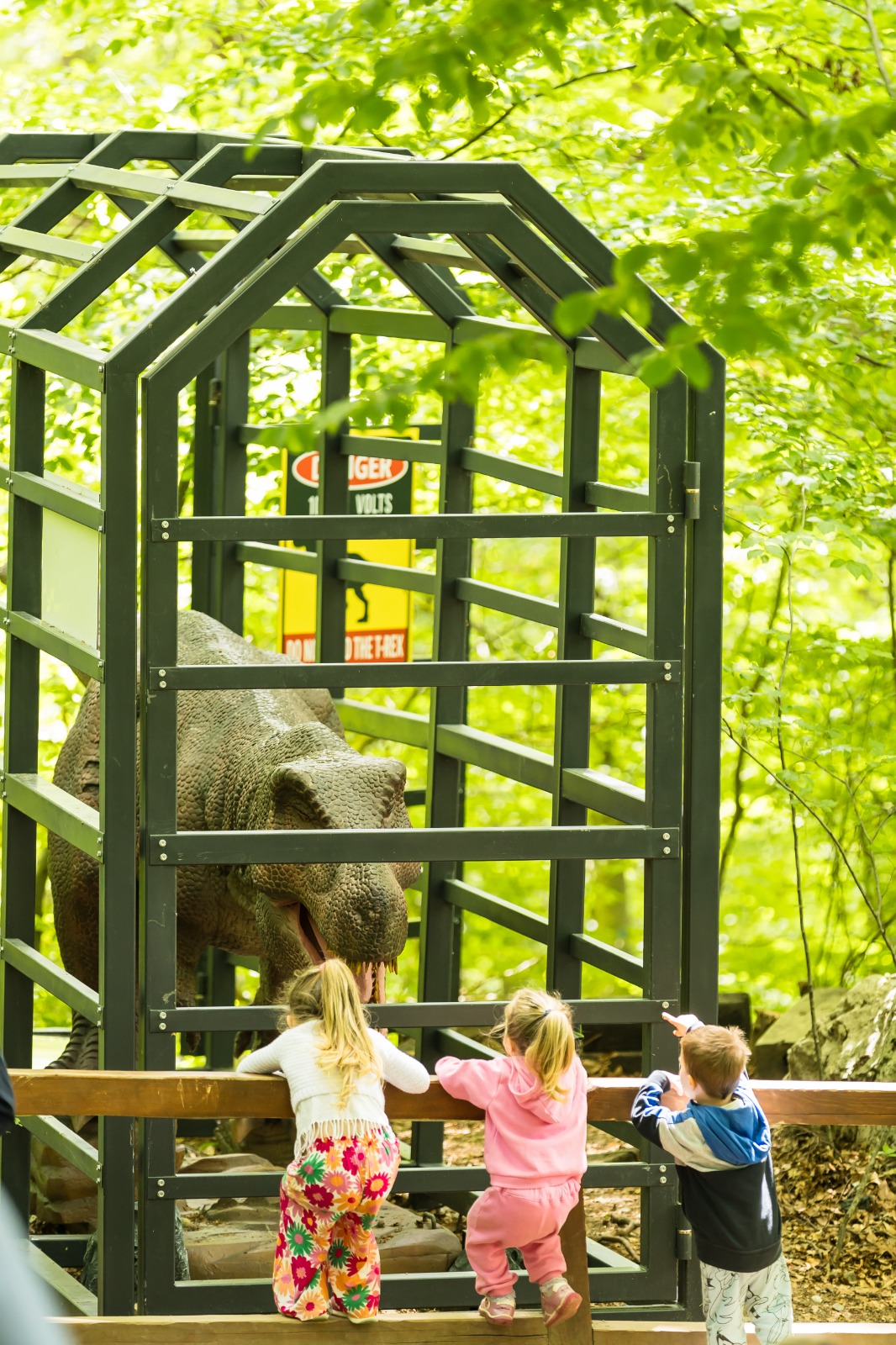 Dino Parc pedagoteca.ro