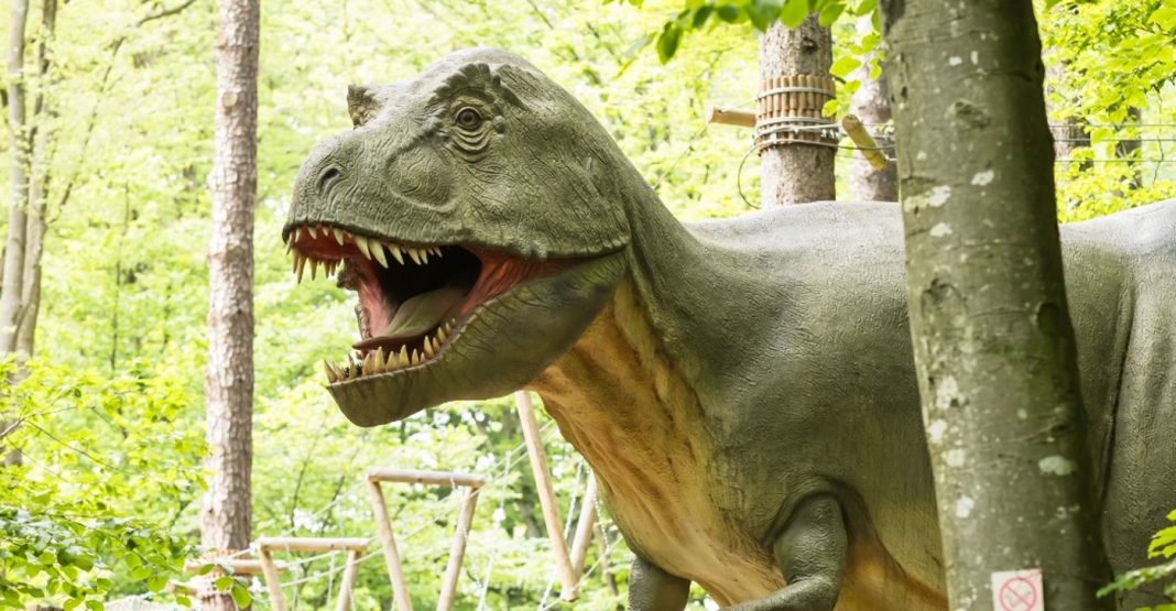 Dino Parc Râșnov, destinația preferată pentru „Școala Altfel” și „Săptămâna Verde”. Peste 4,5 milioane de vizitatori în 11 ani dino park dinosaurus